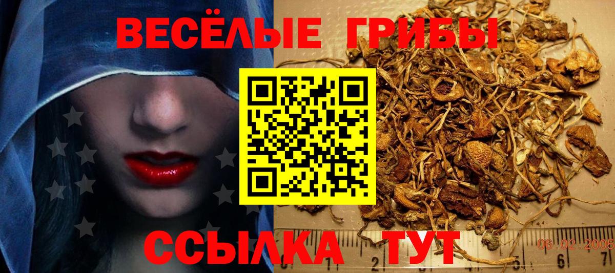 Галлюциногенные грибы Cubensis Астрахань