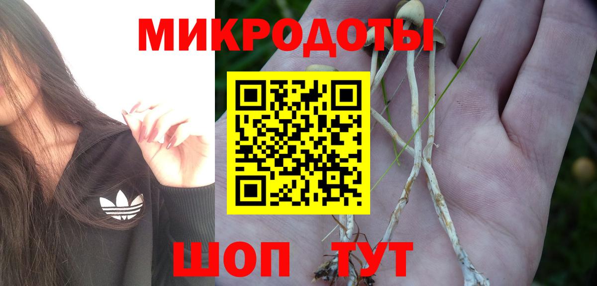 Галлюциногенные грибы GOLDEN TEACHER  Вход с VPN  Астрахань 